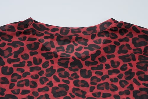 Sexy Leopard Print Mesh See-Through Long Sleeve T-Shirt Top