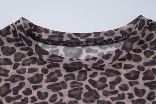 Sexy Leopard Print Mesh See-Through Long Sleeve T-Shirt Top