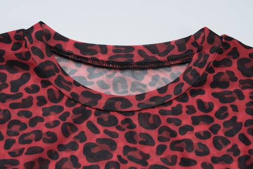 Sexy Leopard Print Mesh See-Through Long Sleeve T-Shirt Top