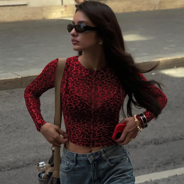 Sexy Leopard Print Mesh See-Through Long Sleeve T-Shirt Top